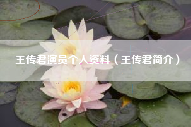 王传君演员个人资料（王传君简介）