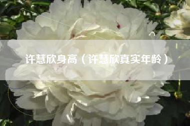许慧欣身高（许慧欣真实年龄）