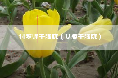 付梦妮于朦胧（女版于朦胧）