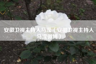 安徽卫视主持人马滢（安徽卫视主持人马滢微博）