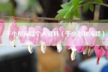 于小彤海陆个人资料（于小彤和海路）