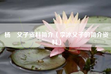 杨玏父子资料简介（李冰父子的简介资料）