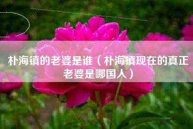 朴海镇的老婆是谁（朴海镇现在的真正老婆是哪国人）