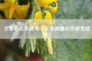 王菲老公李威龙（王菲被曝和李威龙结婚）
