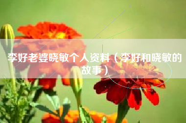 李好老婆晓敏个人资料（李好和晓敏的故事）