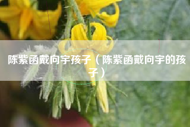 陈紫函戴向宇孩子（陈紫函戴向宇的孩子）