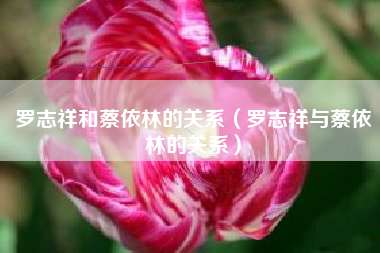 罗志祥和蔡依林的关系（罗志祥与蔡依林的关系）