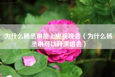 为什么杨丞琳能上央视晚会（为什么杨丞琳可以开演唱会）