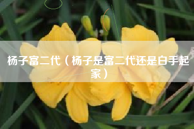 杨子富二代（杨子是富二代还是白手起家）