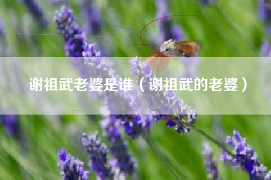 谢祖武老婆是谁（谢祖武的老婆）