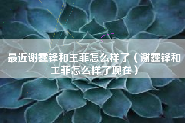 最近谢霆锋和王菲怎么样了（谢霆锋和王菲怎么样了现在）