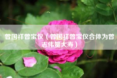曾国祥曾宝仪（曾国祥曾宝仪合体为曾志伟贺大寿）