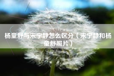 杨童舒与宋宁静怎么区分（宋宁静和杨童舒照片）
