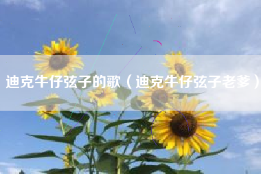 迪克牛仔弦子的歌（迪克牛仔弦子老爹）