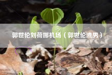 郭世伦刘荷娜机场（郭世伦渣男）