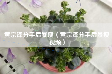 黄宗泽分手后暴瘦（黄宗泽分手后暴瘦视频）