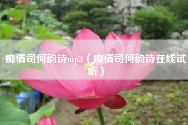痴情司何韵诗mp3（痴情司何韵诗在线试听）