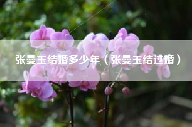 张曼玉结婚多少年（张曼玉结过婚）