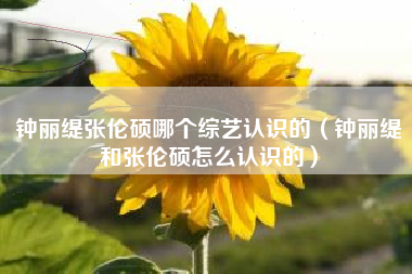 钟丽缇张伦硕哪个综艺认识的（钟丽缇和张伦硕怎么认识的）
