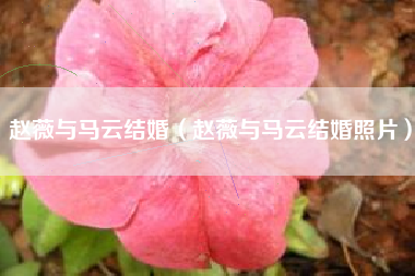 赵薇与马云结婚（赵薇与马云结婚照片）