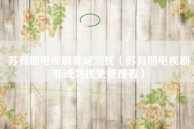 苏有朋电视剧非诚勿扰（苏有朋电视剧非诚勿扰免费观看）