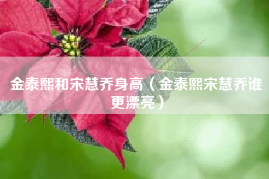 金泰熙和宋慧乔身高（金泰熙宋慧乔谁更漂亮）
