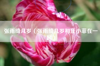 张雨绮几岁（张雨绮几岁和汪小菲在一起）