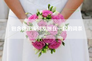 包含徐正溪何泓姗在一起的词条