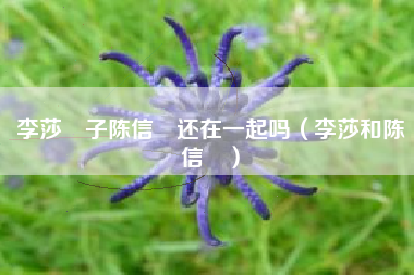 李莎旻子陈信喆还在一起吗（李莎和陈信喆）