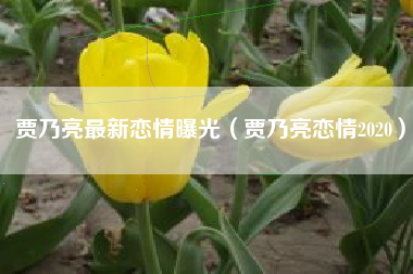 贾乃亮最新恋情曝光（贾乃亮恋情2020）