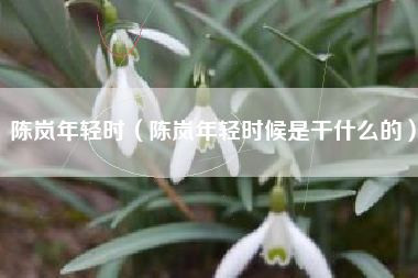 陈岚年轻时（陈岚年轻时候是干什么的）