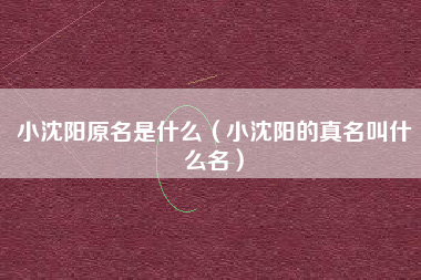 小沈阳原名是什么（小沈阳的真名叫什么名）