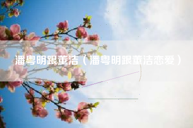 潘粤明跟董洁（潘粤明跟董洁恋爱）