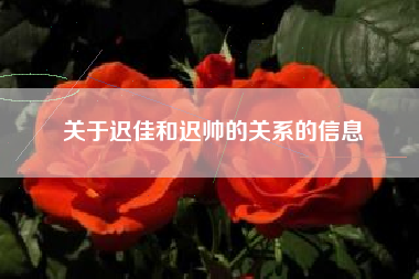 关于迟佳和迟帅的关系的信息