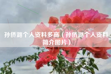 孙侨潞个人资料多高（孙侨潞个人资料简介图片）