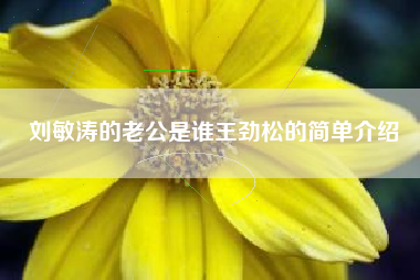 刘敏涛的老公是谁王劲松的简单介绍