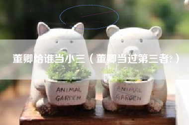 董卿给谁当小三（董卿当过第三者?）