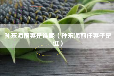 孙东海前妻是谁呢（孙东海前任妻子是谁）