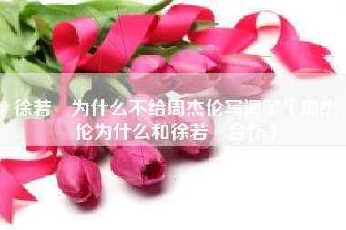 徐若瑄为什么不给周杰伦写词了（周杰伦为什么和徐若瑄合作）