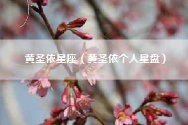 黄圣依星座（黄圣依个人星盘）