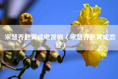 宋慧乔赵寅成电视剧（宋慧乔赵寅成恋爱）