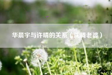 华晨宇与许晴的关系（沈腾老婆）