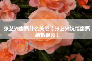 张艺兴唐嫣什么关系（张艺兴祝福唐嫣结婚视频）