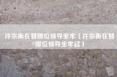 许宗衡在替哪位领导坐牢（许宗衡在替哪位领导坐牢过）