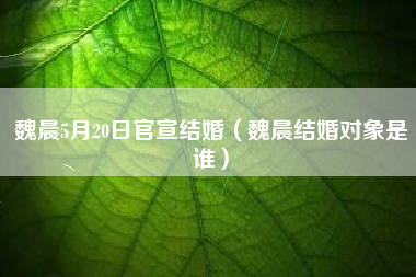 魏晨5月20日官宣结婚（魏晨结婚对象是谁）