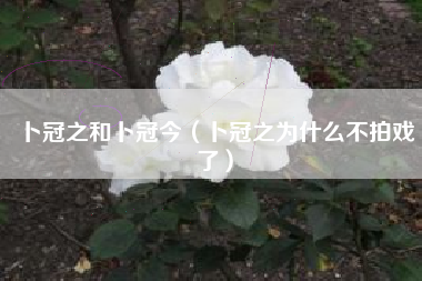 卜冠之和卜冠今（卜冠之为什么不拍戏了）