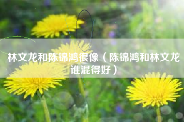 林文龙和陈锦鸿很像（陈锦鸿和林文龙谁混得好）