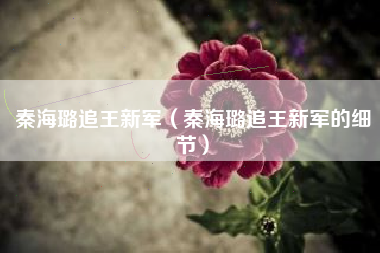秦海璐追王新军（秦海璐追王新军的细节）