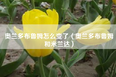 奥兰多布鲁姆怎么变了（奥兰多布鲁姆和米兰达）