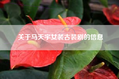 关于马天宇女装古装剧的信息